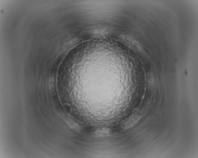 X0000074300369200609011453