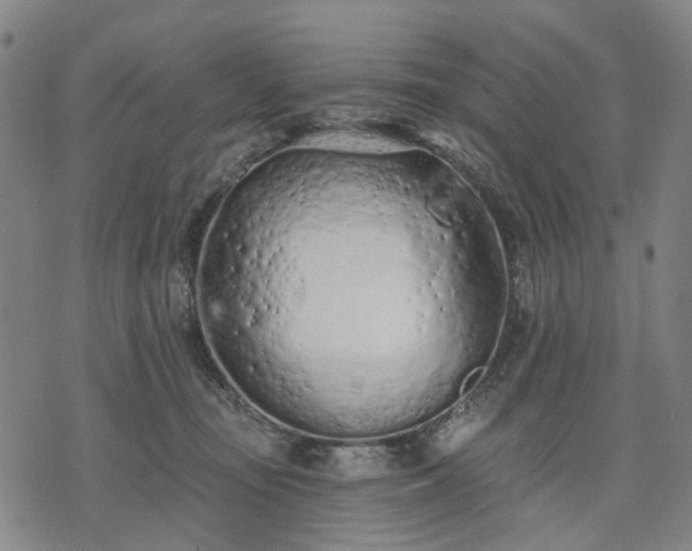 X0000074300371200609011453