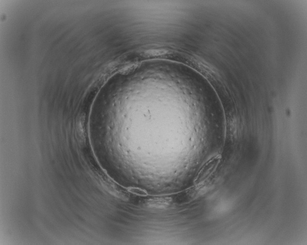 X0000074300373200609011453