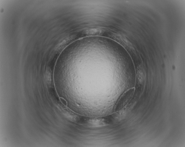 X0000074300375200609011453