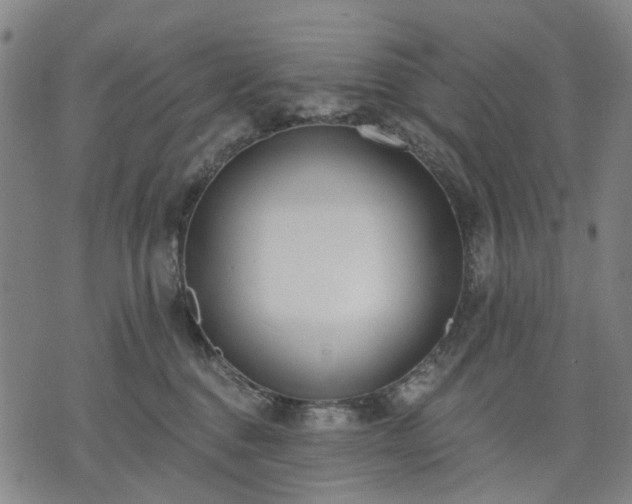 X0000074300376200609011453