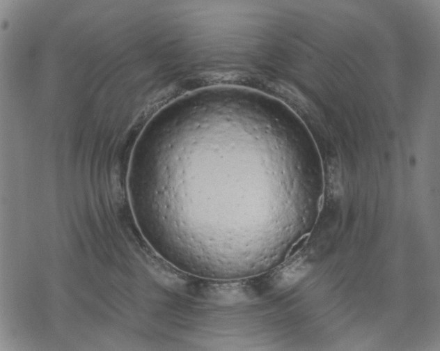 X0000074300377200609011453