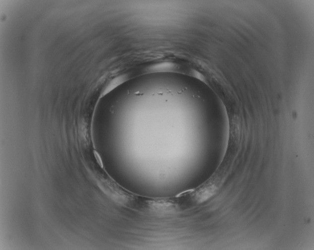 X0000074300380200609011453