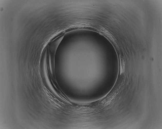 X0000074300387200609011452
