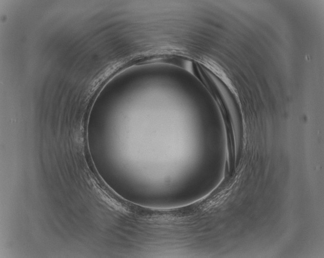 X0000074300389200609011452