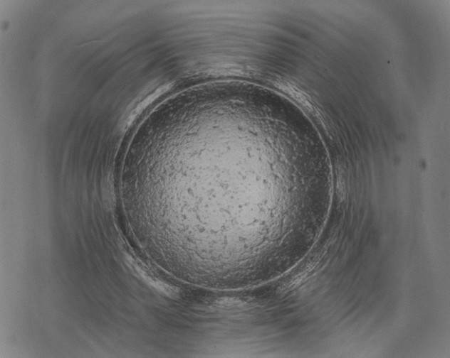 X0000074300390200609011452