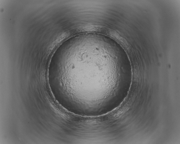 X0000074300394200609011452