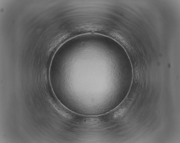 X0000074300398200609011452