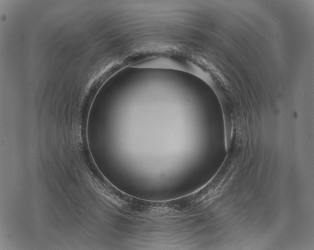 X0000074300399200609011452