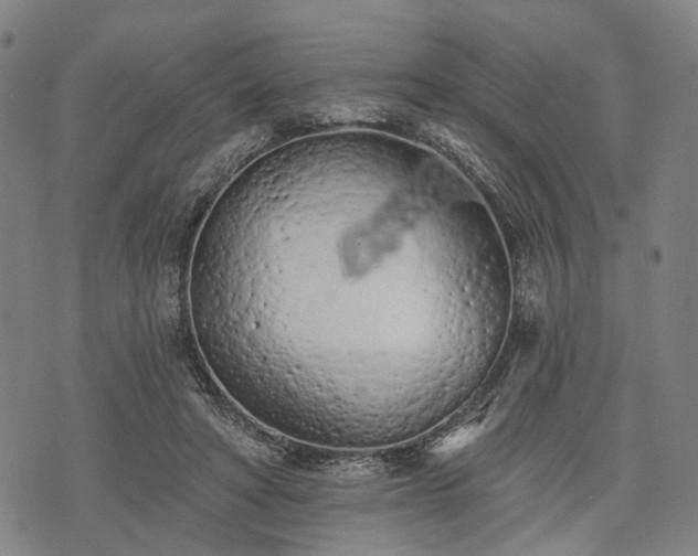 X0000074300402200609011452