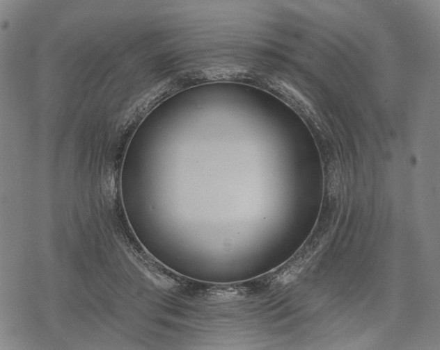 X0000074300405200609011452