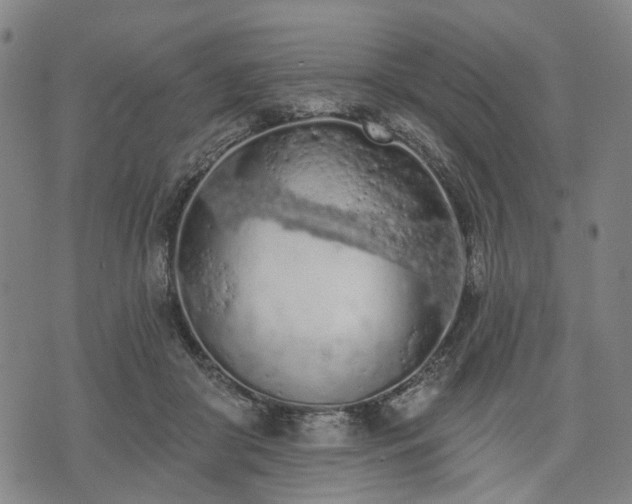X0000074300410200609011452