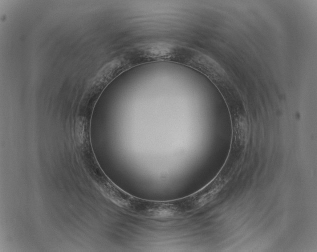X0000074300412200609011452