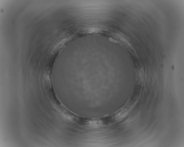 X0000074300415200609011452