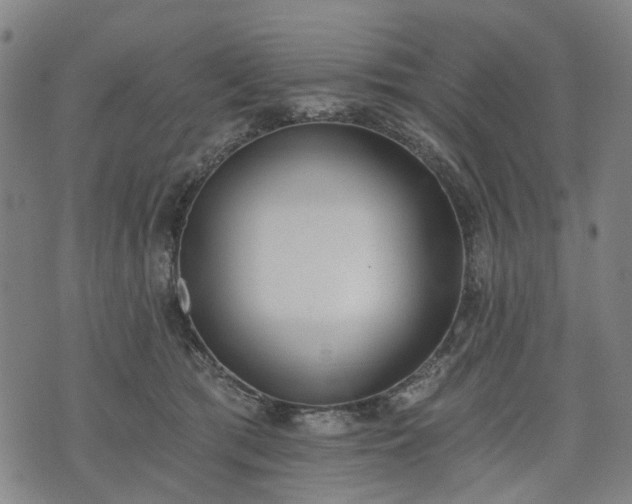 X0000074300417200609011452