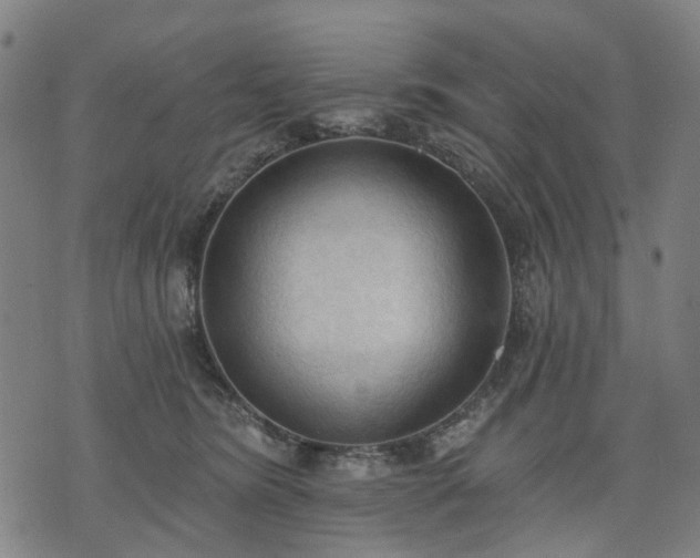 X0000074300420200609011452