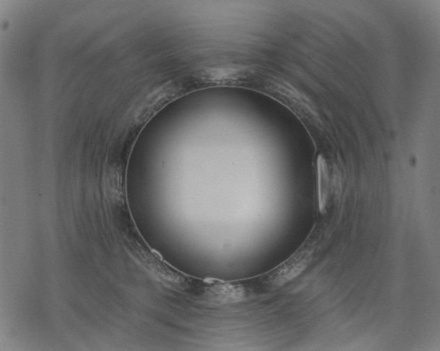 X0000074300421200609011452