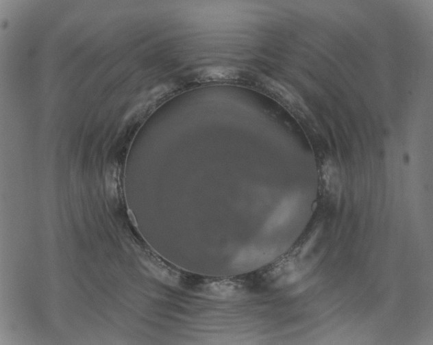 X0000074300423200609011452