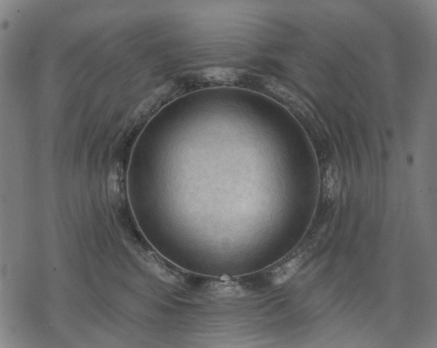 X0000074300424200609011452