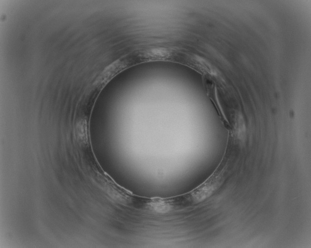X0000074300425200609011452