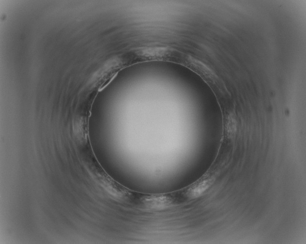 X0000074300428200609011452