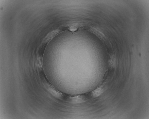 X0000074300430200609011452