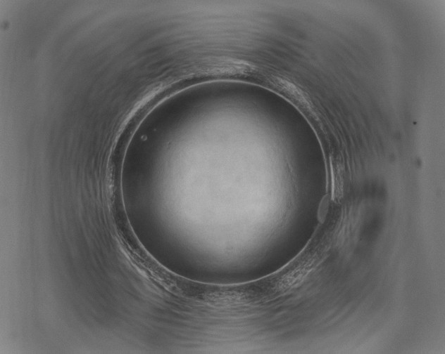 X0000074300435200609011451
