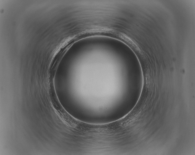 X0000074300436200609011451