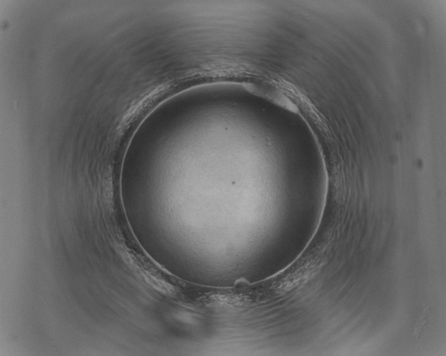 X0000074300442200609011451