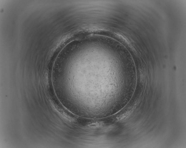 X0000074300447200609011451