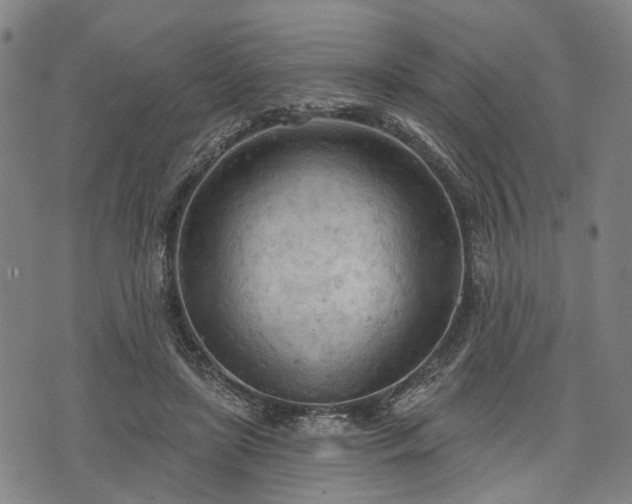 X0000074300451200609011451