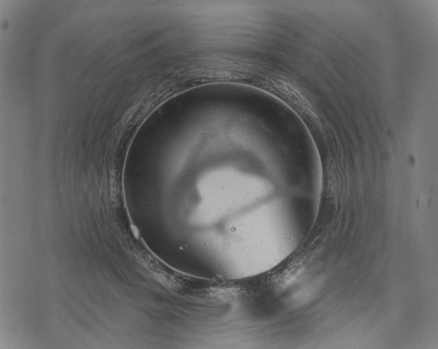 X0000074300457200609011451