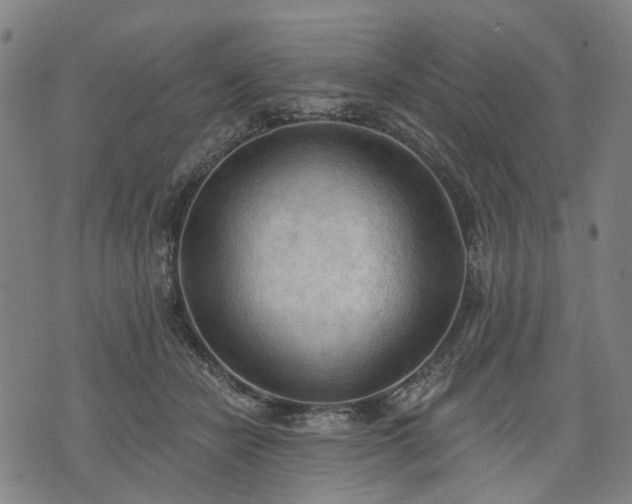 X0000074300462200609011451