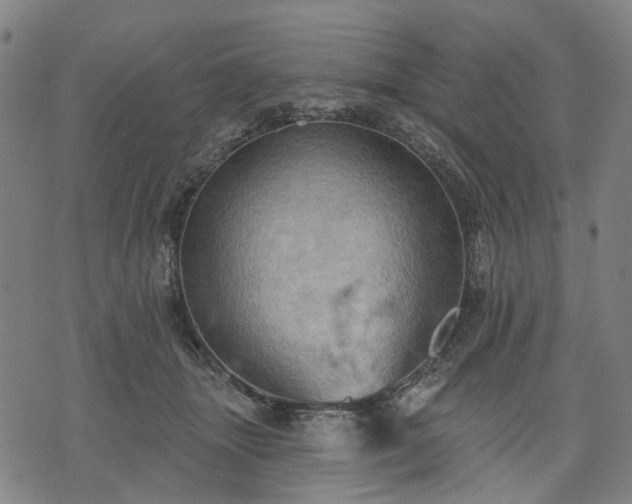 X0000074300463200609011451