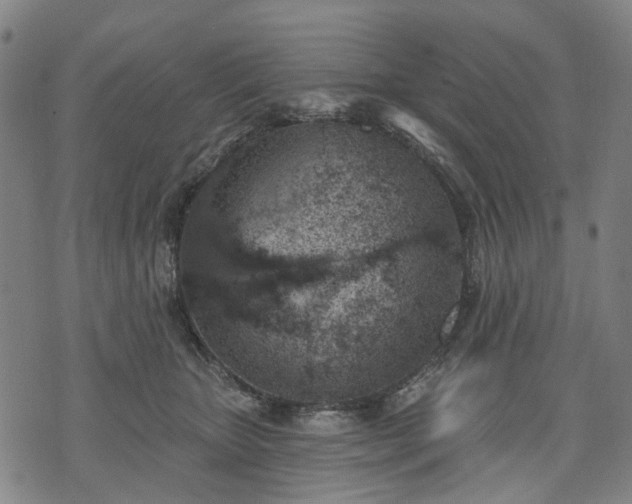 X0000074300467200609011451
