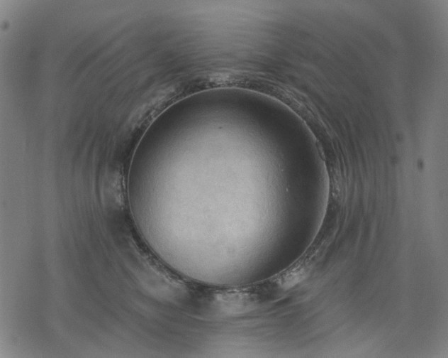 X0000074300470200609011451