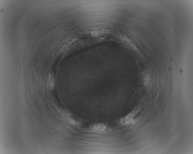 X0000074300471200609011451