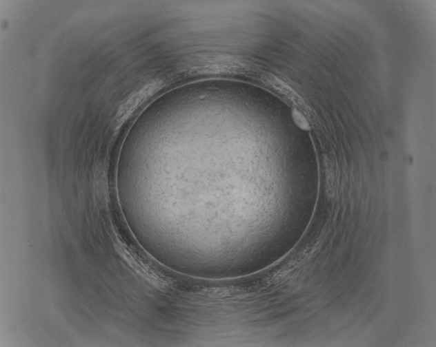 X0000074300482200609011451