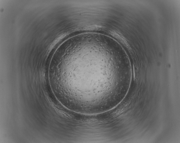 X0000074300483200609011451