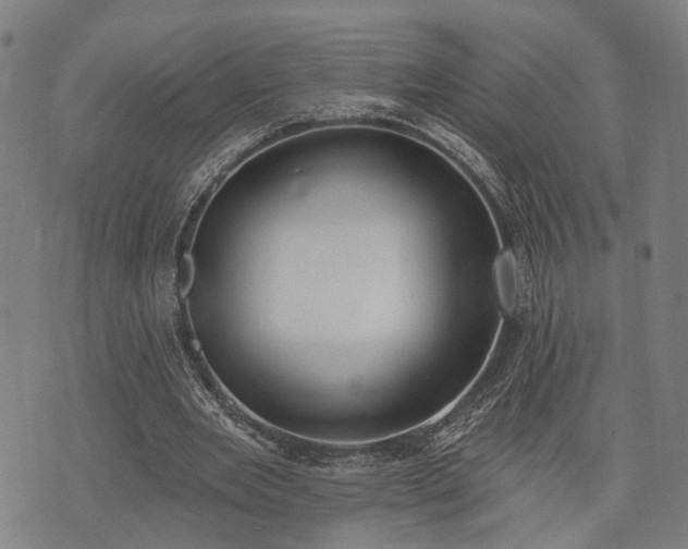 X0000074300485200609011451