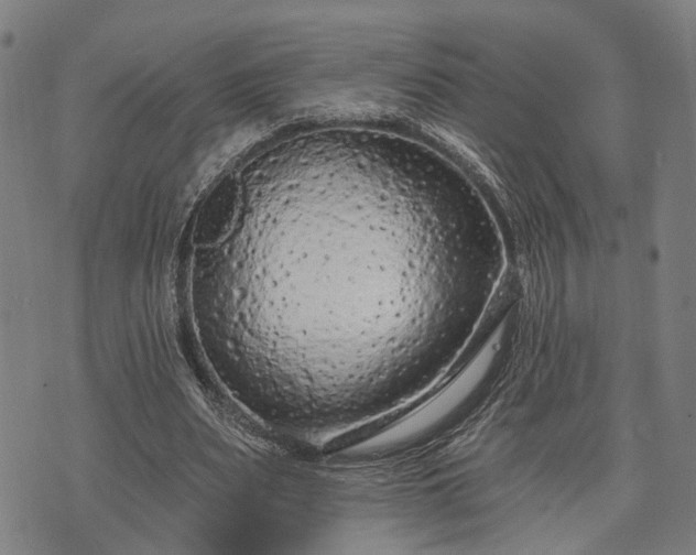 X0000074300487200609011451