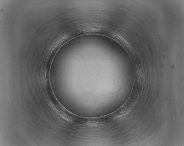 X0000074300490200609011451