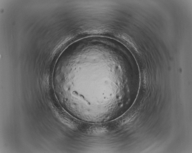 X0000074300491200609011451