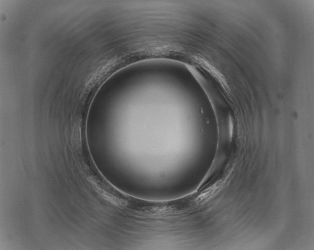 X0000074300493200609011451