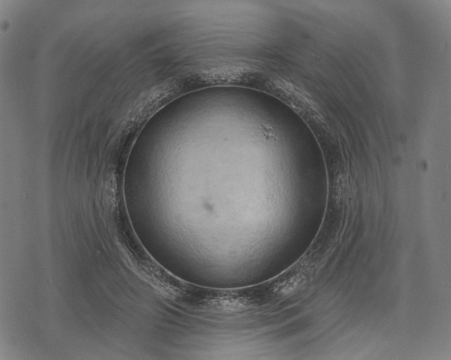 X0000074300498200609011451