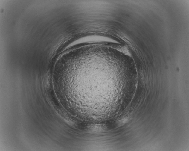 X0000074300499200609011451