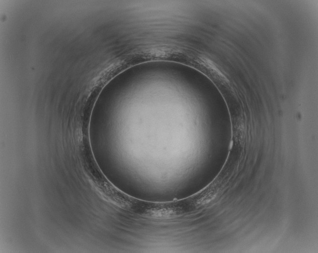 X0000074300500200609011451
