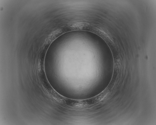 X0000074300504200609011450