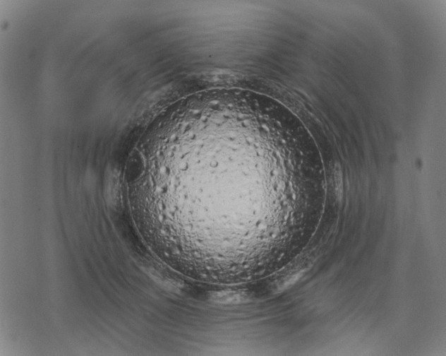 X0000074300511200609011450