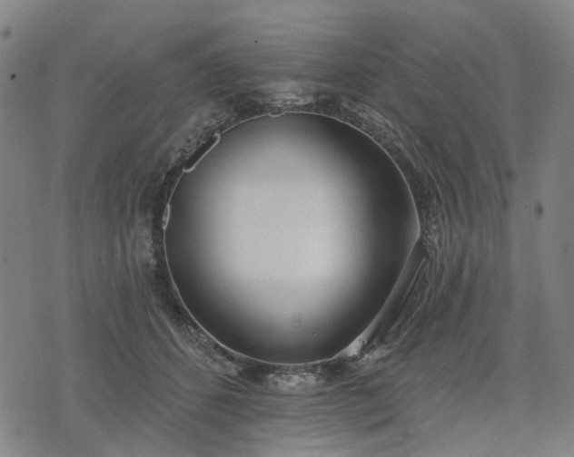 X0000074300512200609011450